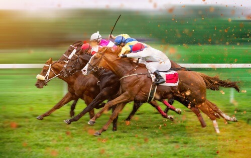 horse racing betting basics
